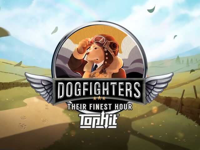 Dogfighters: Their Finest Hour TopHit